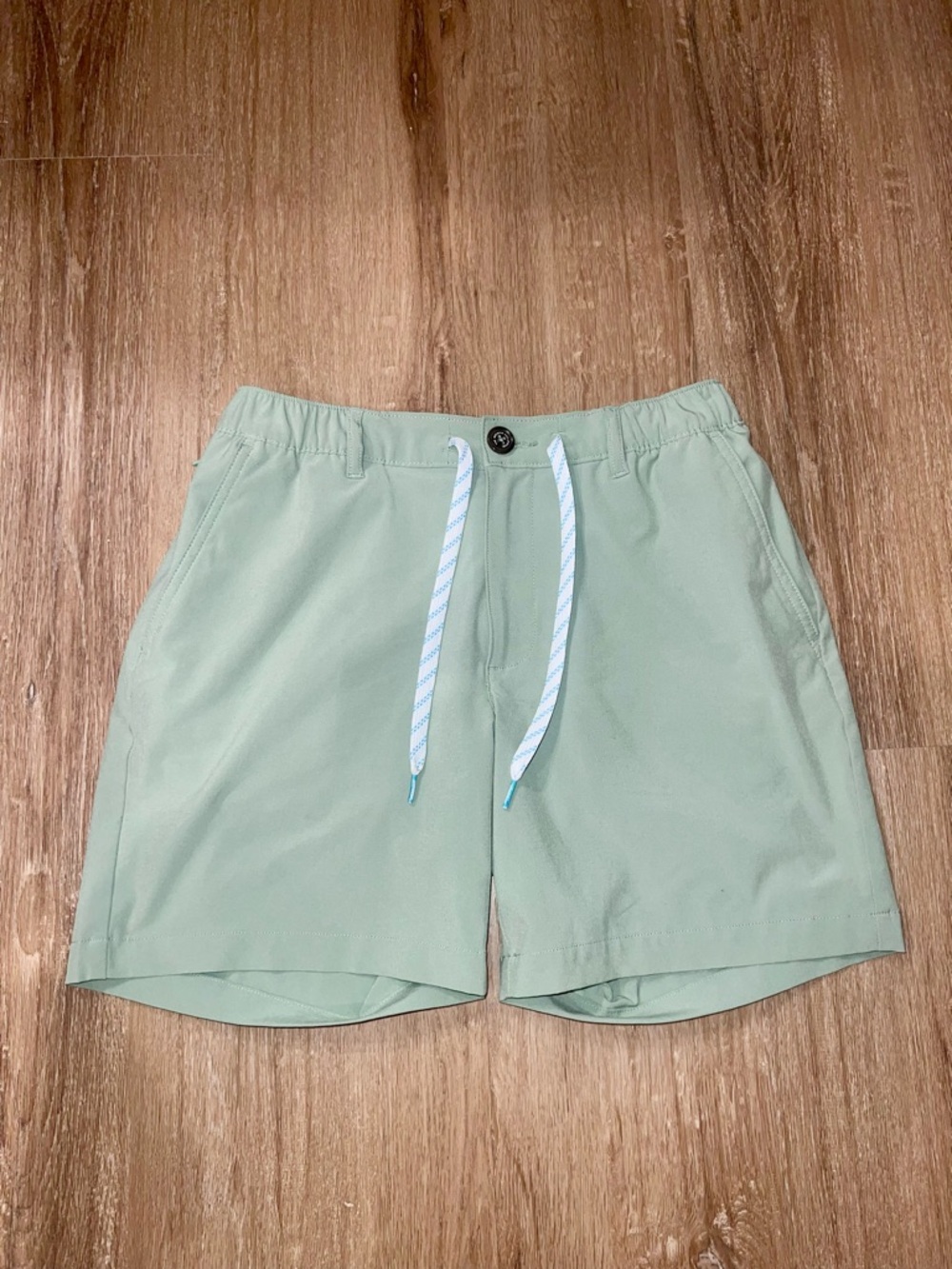 chubbies | chubbies Light Mint Green Shorts